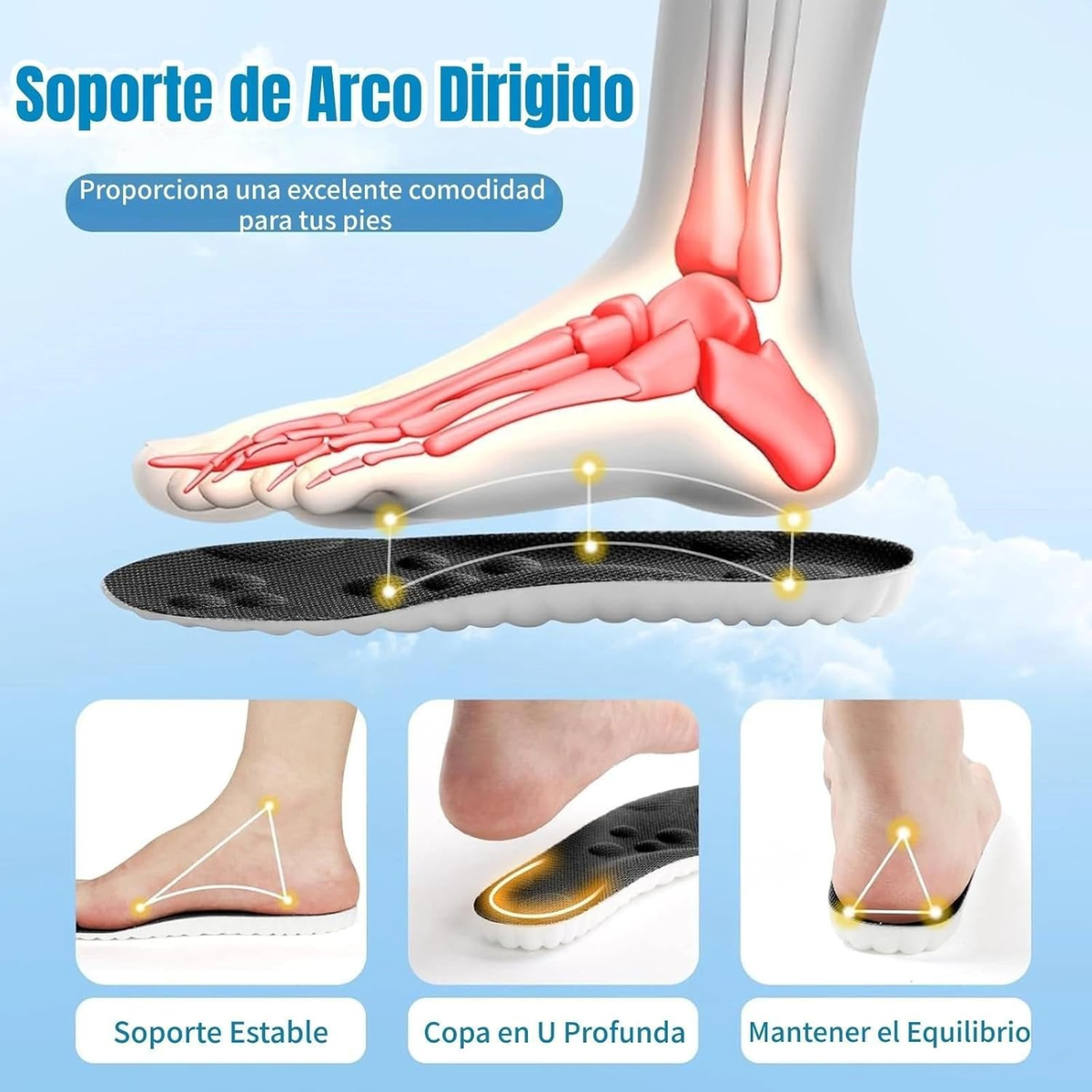 Plantillas de Soporte para Todo el Día