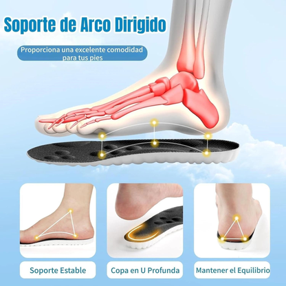 Plantillas de Soporte para Todo el Día