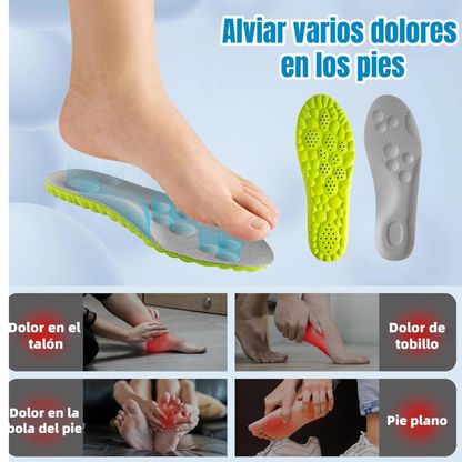 Plantillas de Soporte para Todo el Día